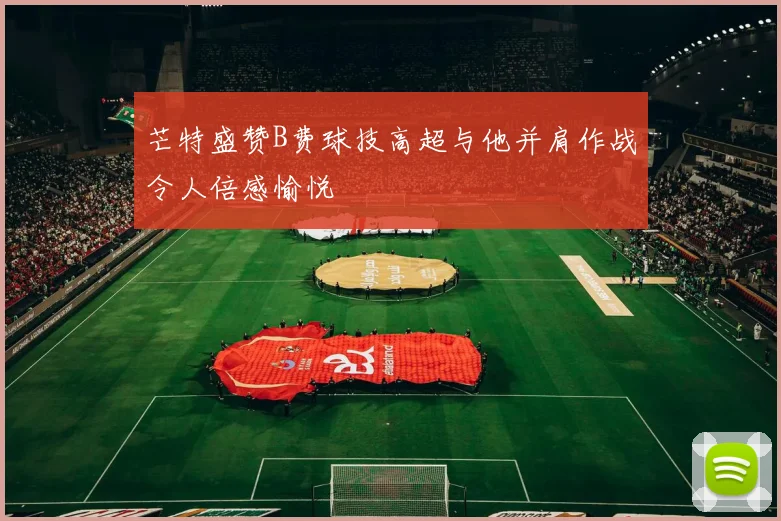 芒特盛赞B费球技高超与他并肩作战令人倍感愉悦