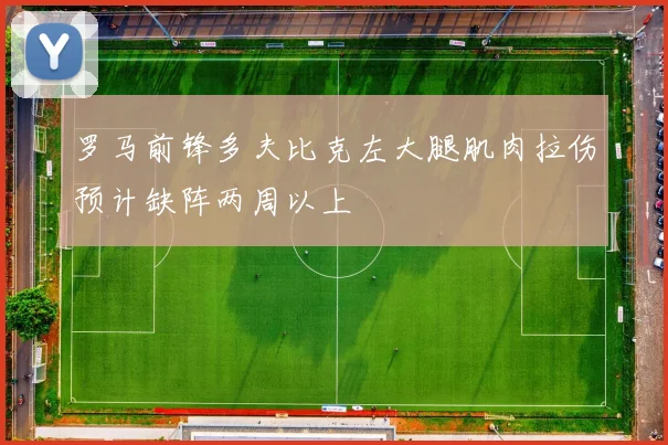 罗马前锋多夫比克左大腿肌肉拉伤预计缺阵两周以上