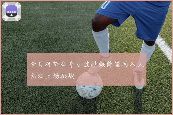 今日对阵公牛小波特缺阵篮网八人无法上场挑战